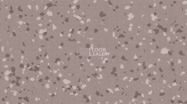 Линолеум Taralay Premium Compact Barazilia 4329 BACABAL фото 1 | FLOORDEALER